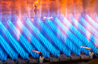 Boirseam gas fired boilers